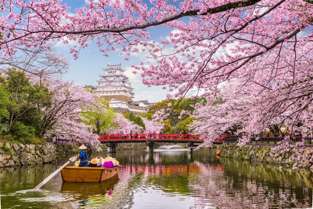 hanami