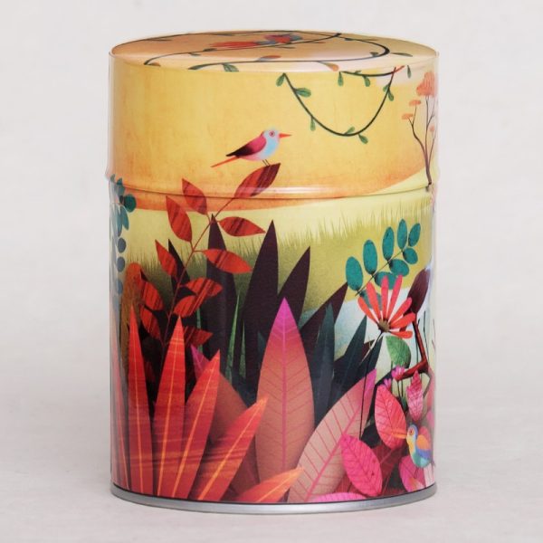 C-boite-the-illustree-toucan-2 Boîte à thé artisanale illustrée - Toucan