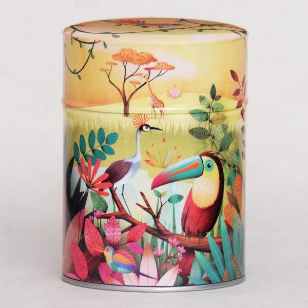 C-boite-the-illustree-toucan Boîte à thé artisanale illustrée - Toucan