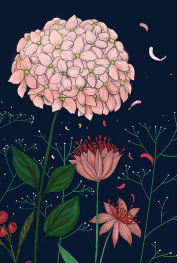 Boîtes à thé illustrées par Minasmoke - Interview