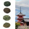 pack decouverte japon Thé du Japon
